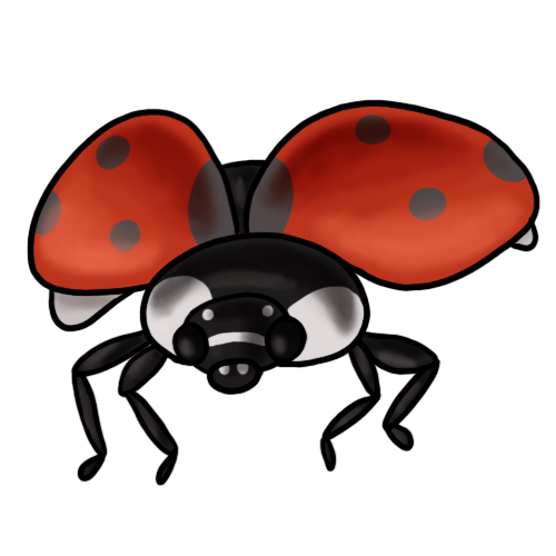 Free ladybug clip art drawings andlorful images 10