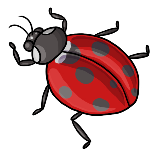 Free ladybug clip art drawings andlorful images 2