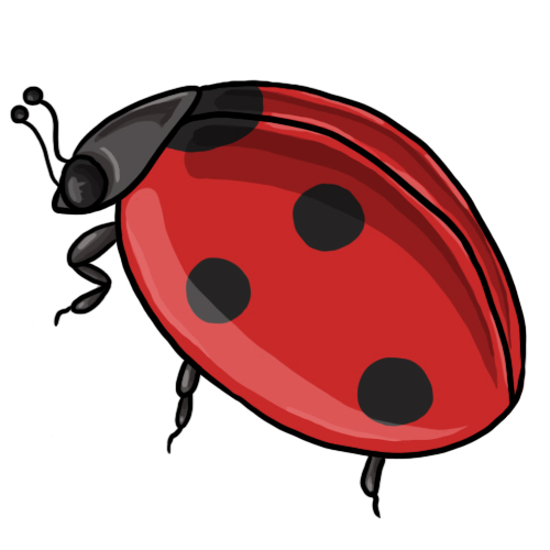 Free ladybug clip art drawings andlorful images 3