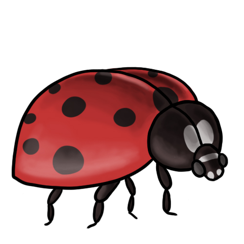 Free ladybug clip art drawings andlorful images 4