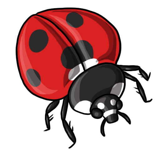 Free ladybug clip art drawings andlorful images 5