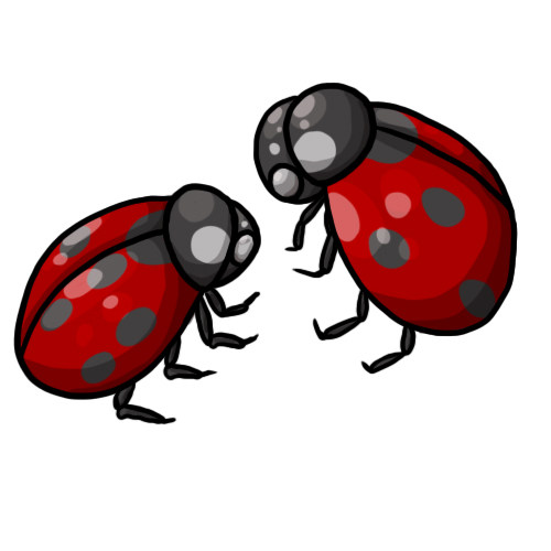 Free ladybug clip art drawings andlorful images 7