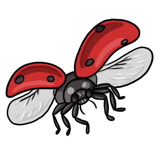 Free ladybug clip art drawings andlorful images 8