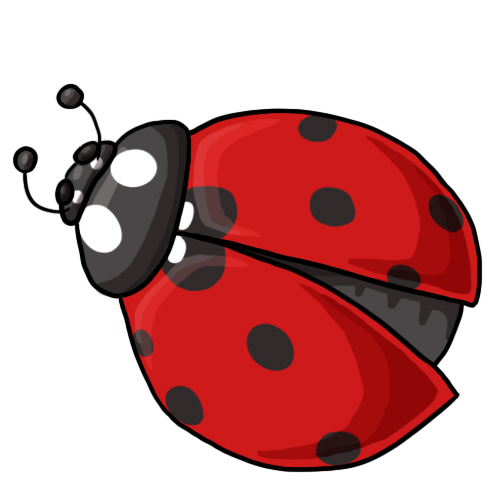 Free ladybug clip art drawings andlorful images