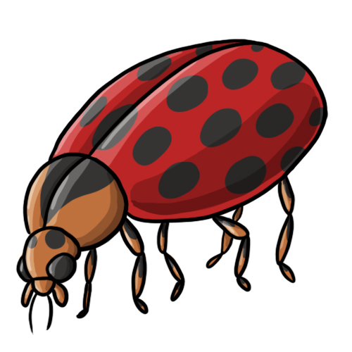 Free ladybug clip art