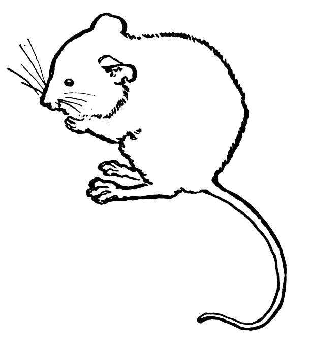 Free mouse clipart and animations of mice image 2
