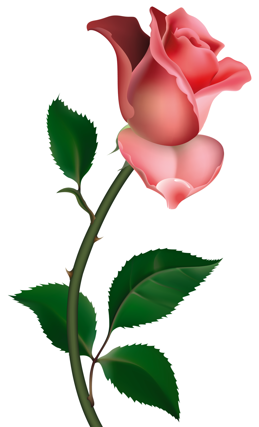 Free rose clipart public domain flower clip art images and 7