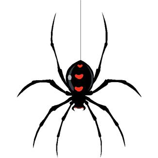 Free spider clipart clipart 2