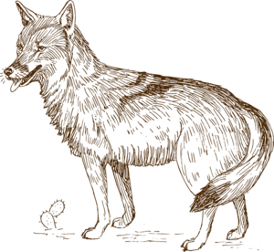 Free wolf clipart clip art pictures graphics illustrations image 2 4