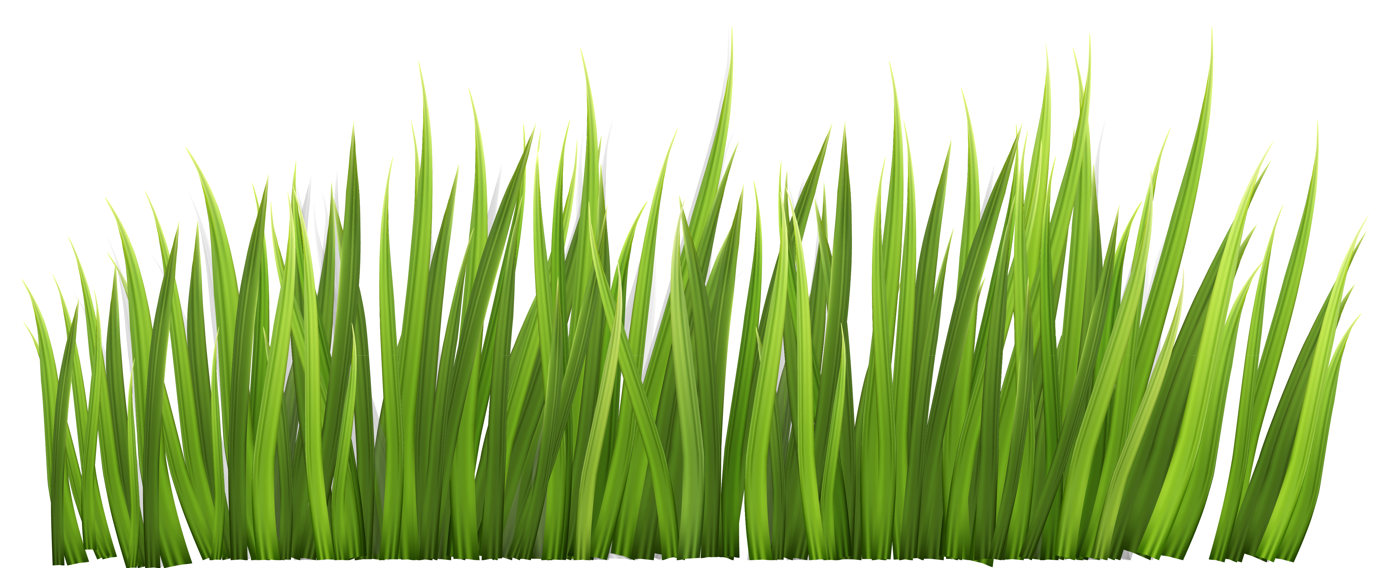 Grass clip art free free clipart images 2