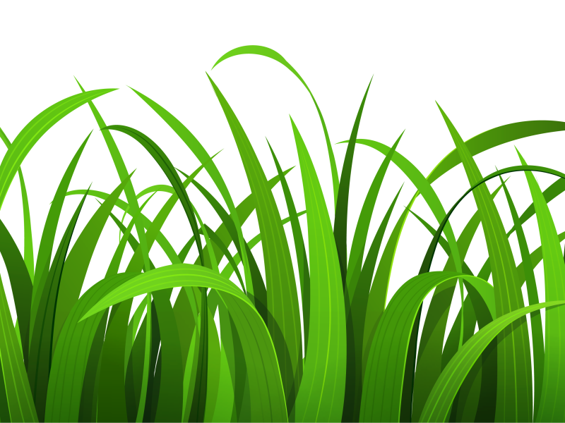 Grass clip art free free clipart images 5