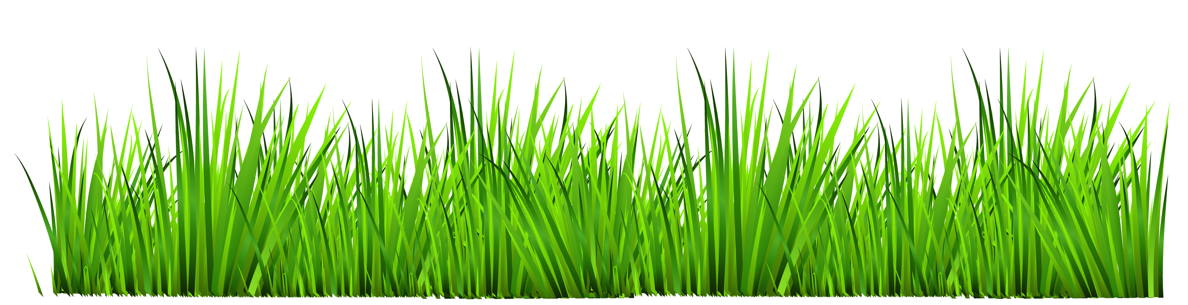 Grass clip art free free clipart images