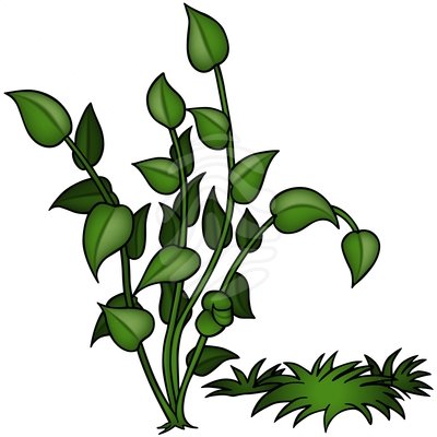 Grass clipart 3 image
