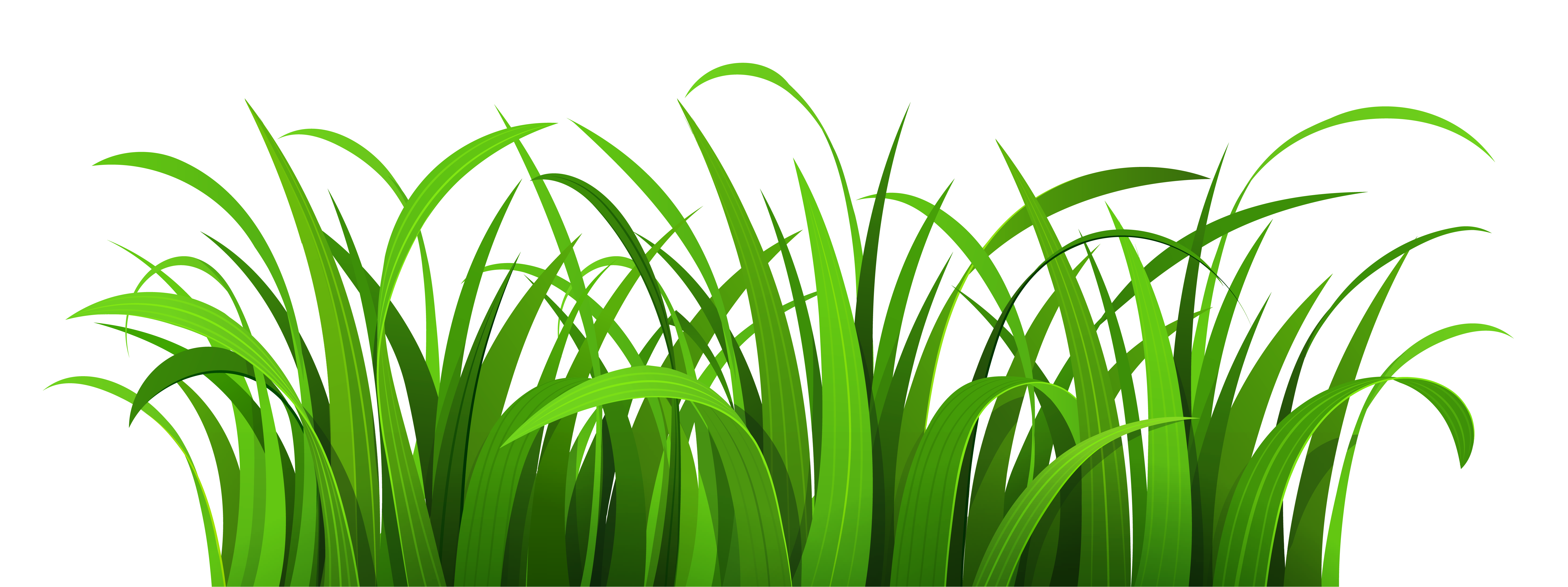 Grass clipart black and white free clipart images