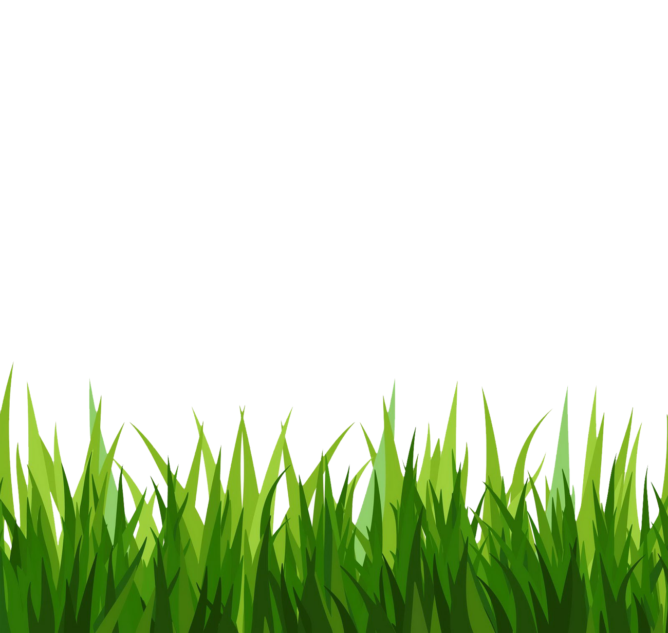 Grass clipart image green