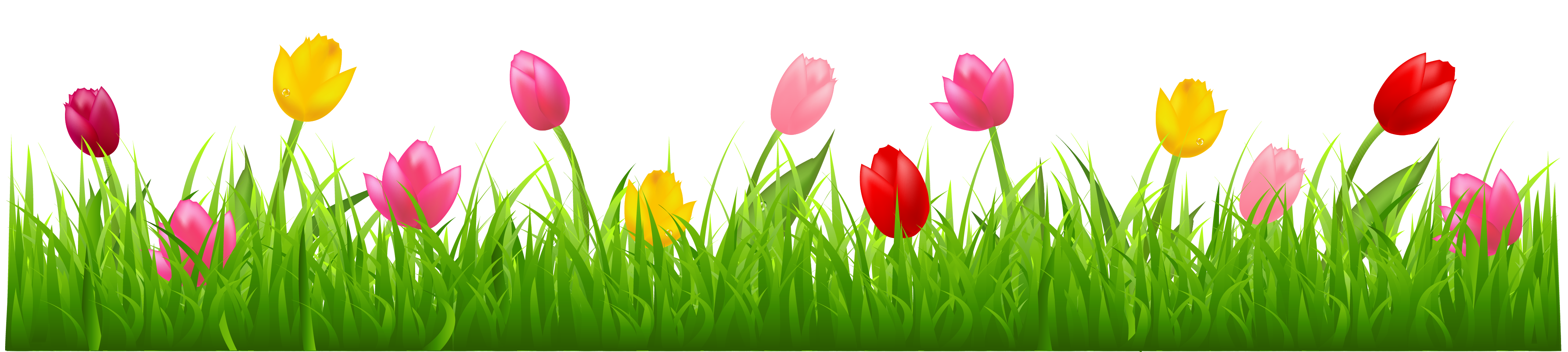 Grass withlorful tulips clipart