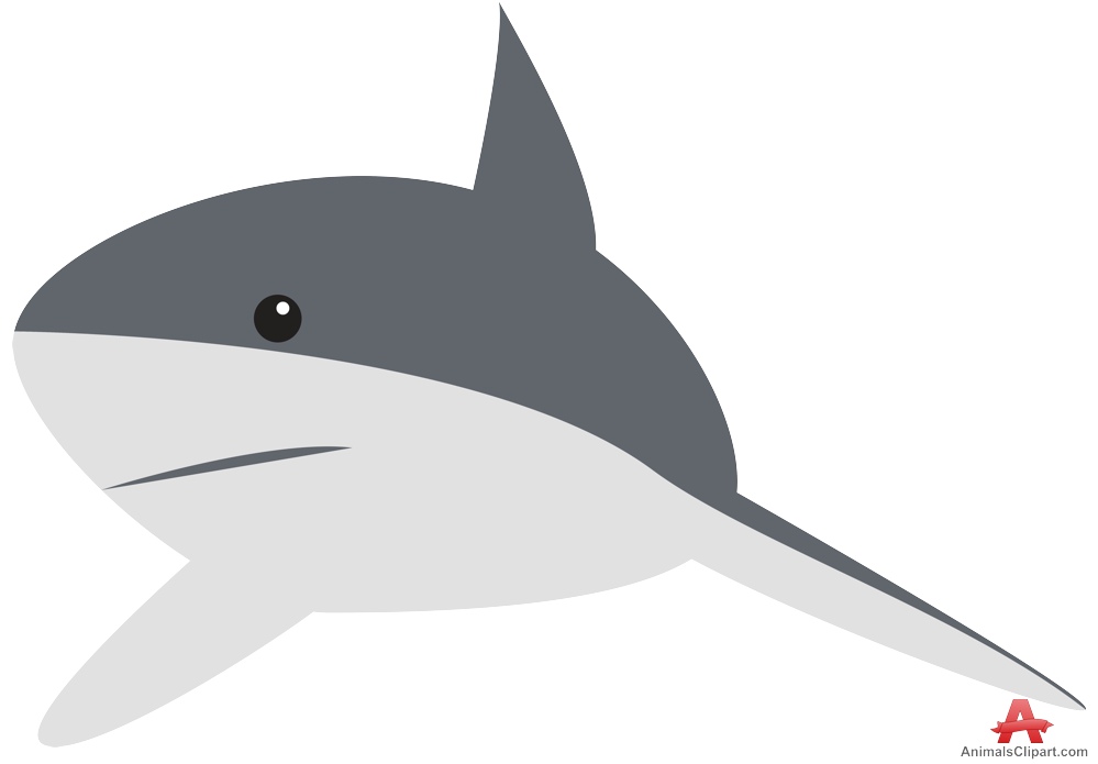 Gray reef shark clipart free clipart design download