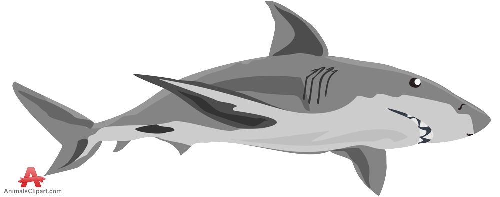 Gray shark clipart free clipart design download