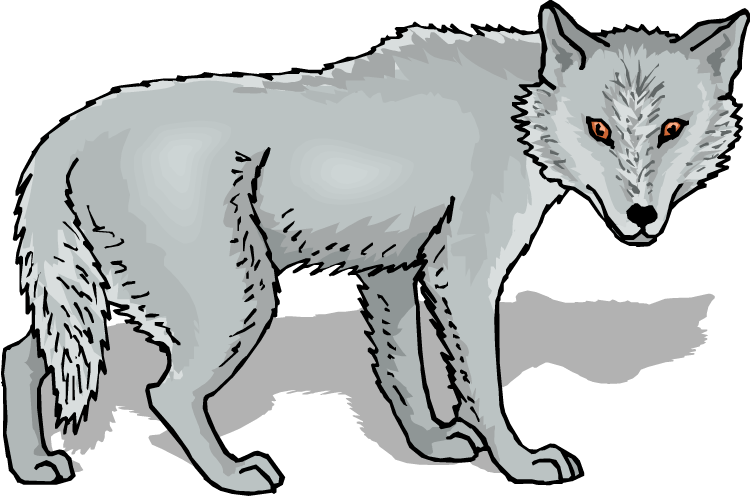 Gray wolf clip art free clipart images 2