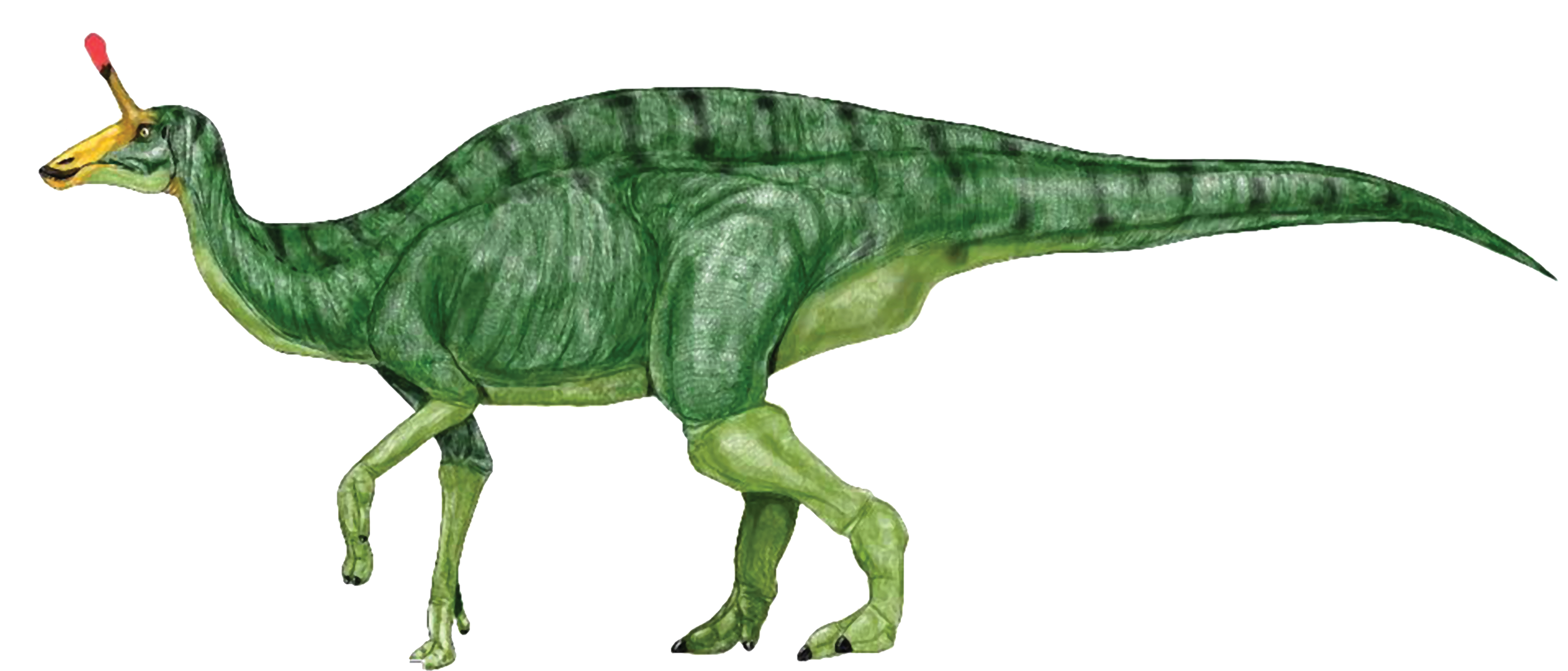 Green dinosaur clipart image 8