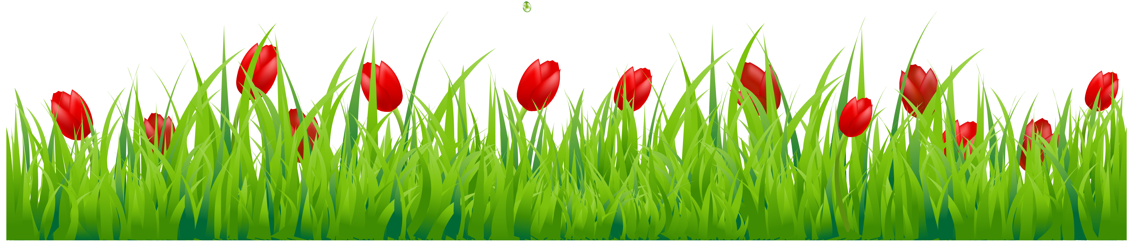 Green grass clipart free stock photo public domain pictures image