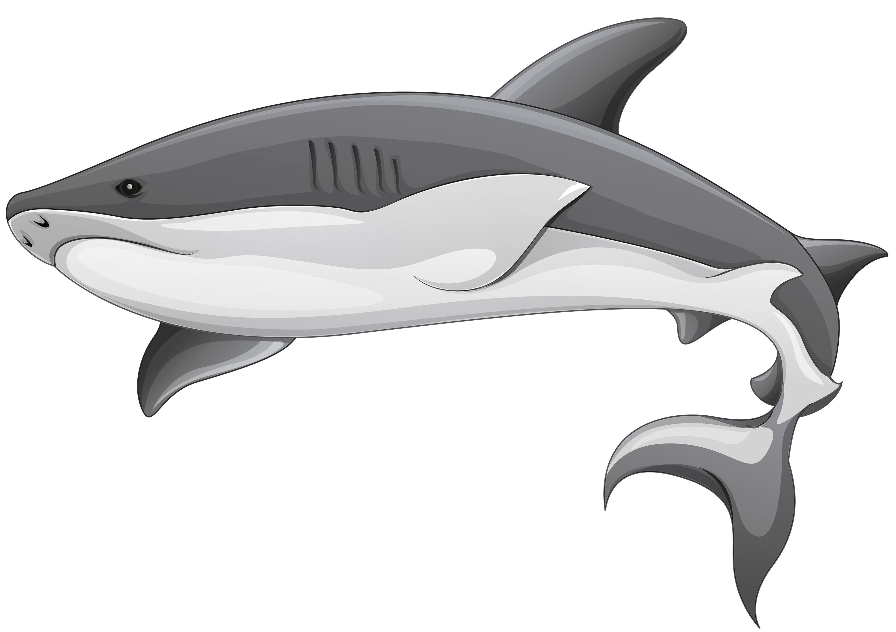 Grey shark clipart web clipart
