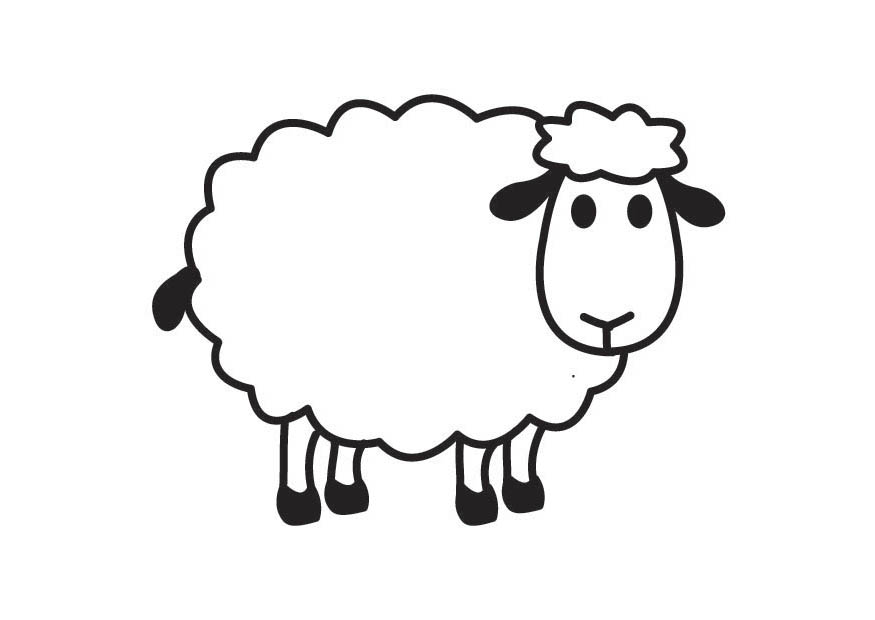 How drawing sheep clipart