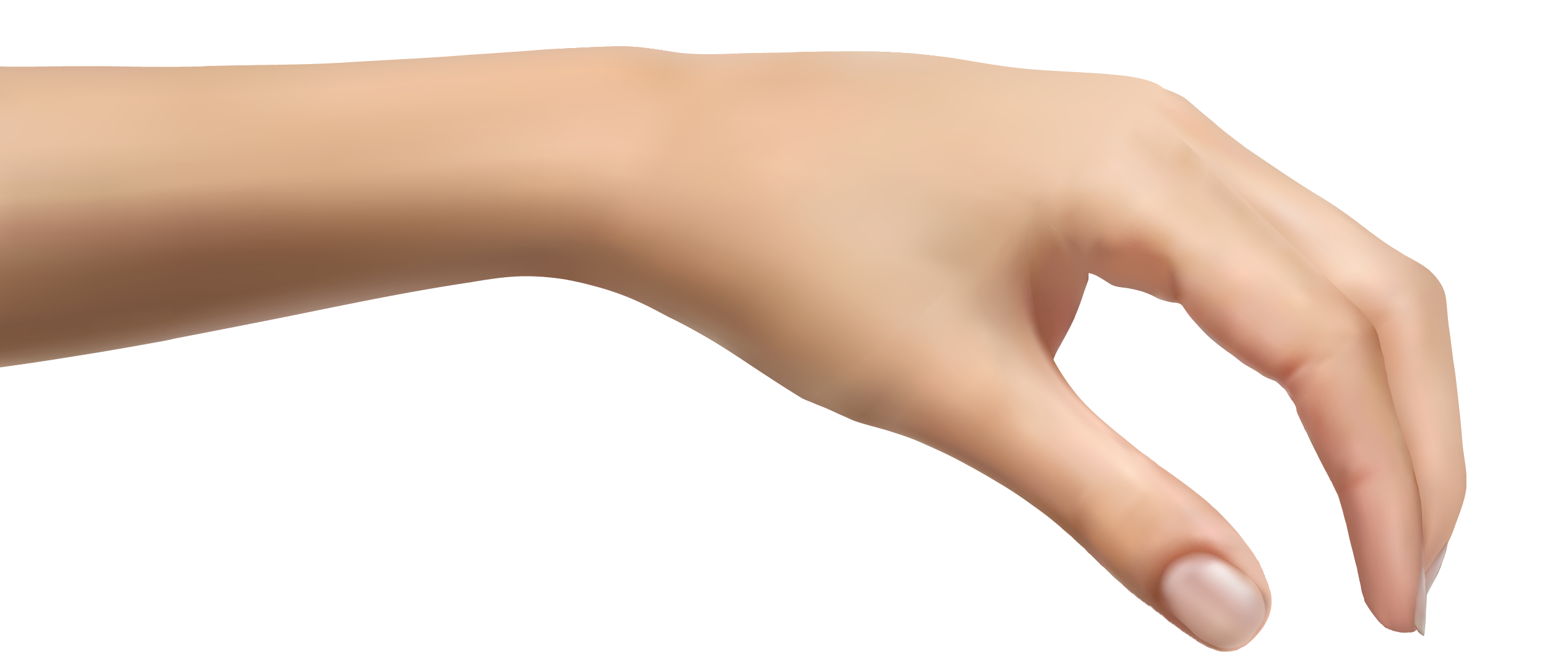 Human hand clipart picture