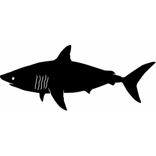 Image of shark clipart 4 happy shark clip art free clipartoons