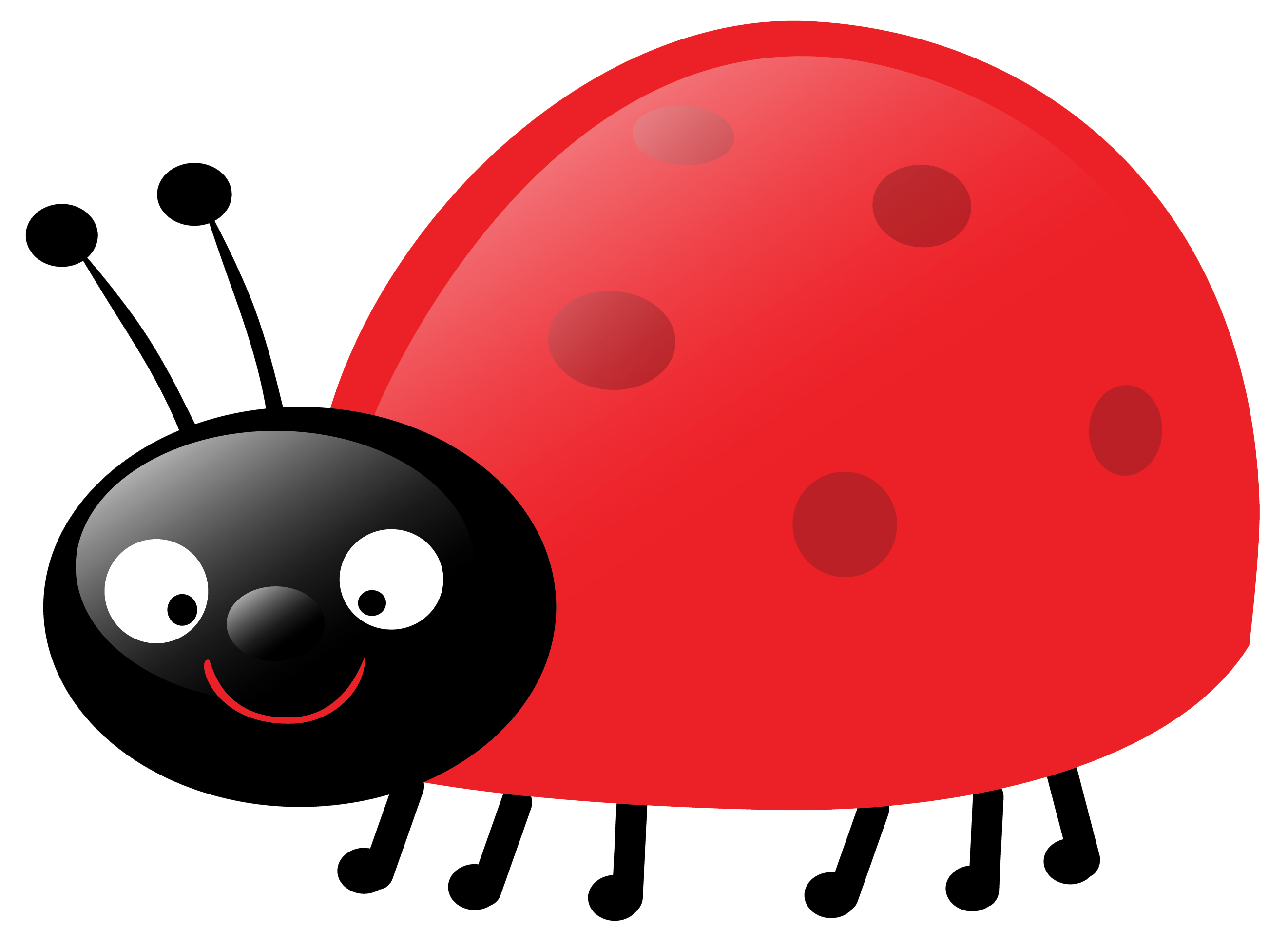 Ladybug clipart black and white free clipart images 3