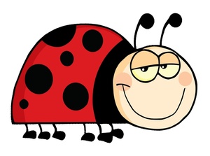 Ladybug clipart black and white free clipart images 5