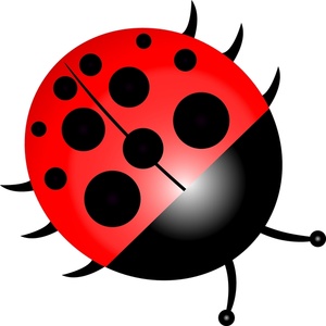 Ladybug lady bug clip art free stock photo public domain pictures 2