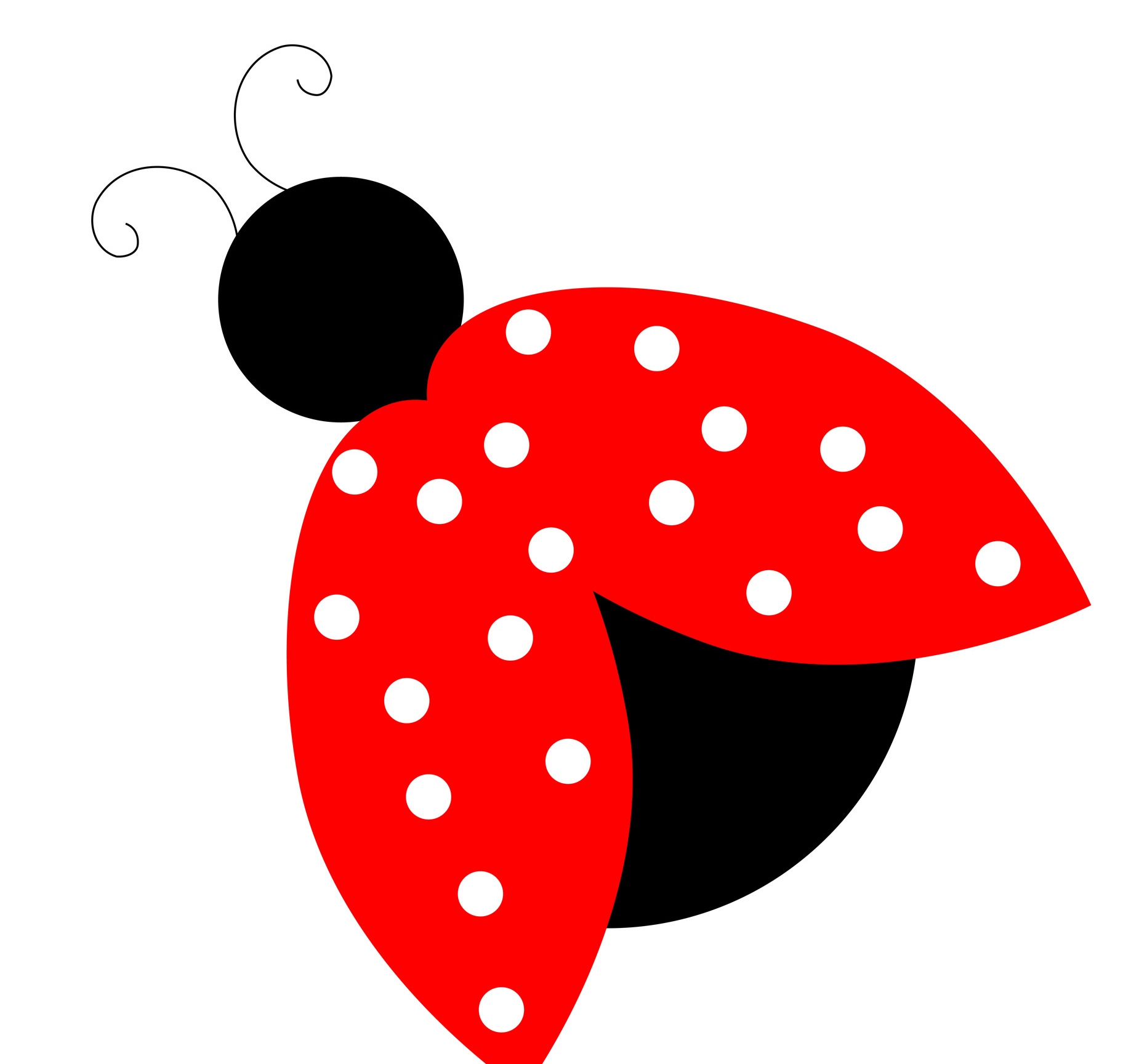 Ladybug lady bug pictures on animal picture society cliparts