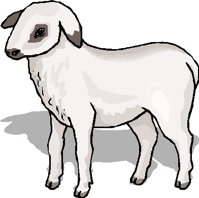 Lamb sheep clipart black and white free clipart images 2 image