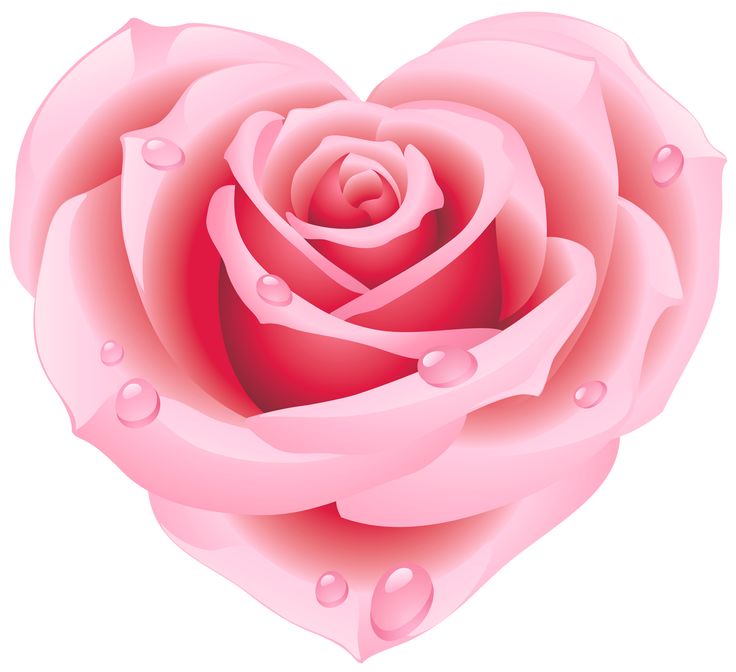 Large pink rose heart clipart hearts clip art