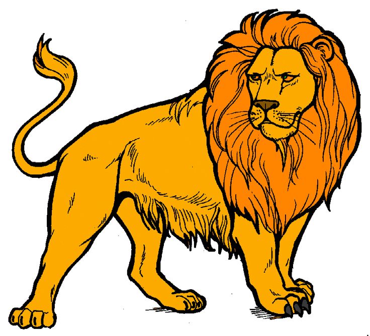 Lion clip art arthurs free lion clipart page 1 wimsey