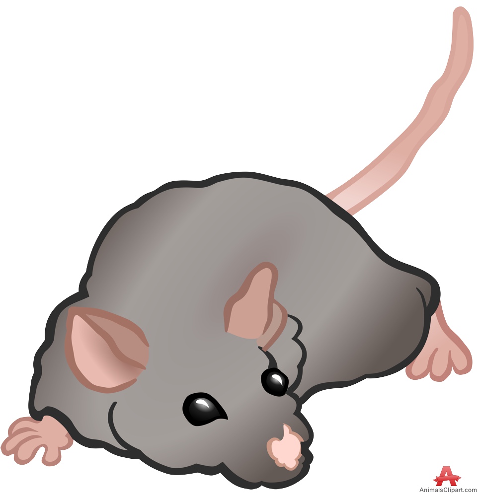Mouse clipart outline inlors free clipart design download