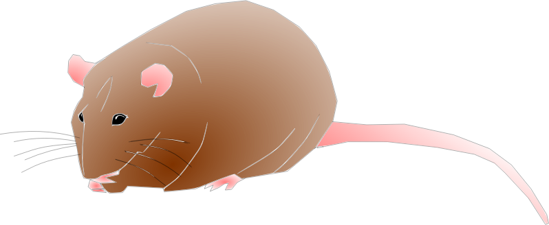 Mouse free to use clip art