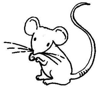 Mouse mice clip art clipart