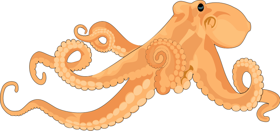 Octopus clipart 2 image