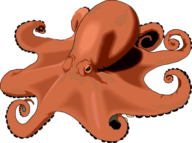 Octopus clipart free clipart images 7