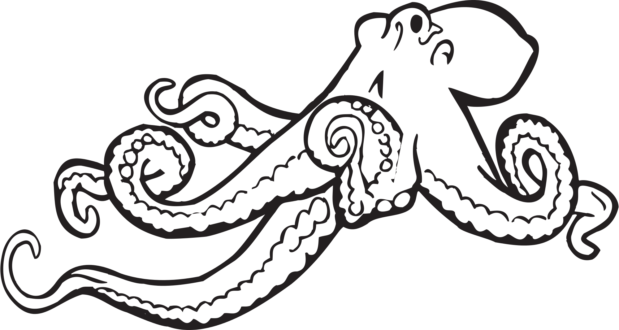 Octopus clipart illustrations 2 octopus clip art vector image 2