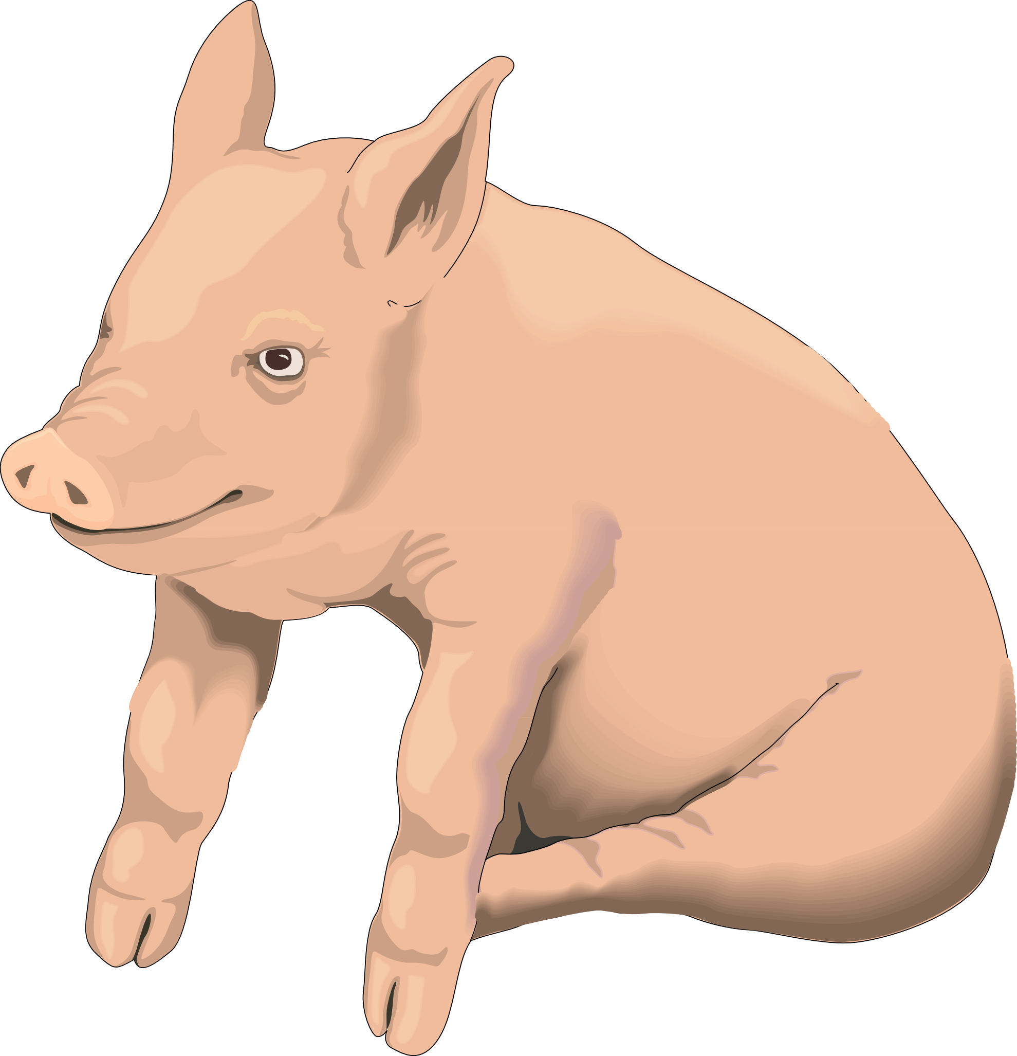Pig clipart isolated stock photo by nobacks