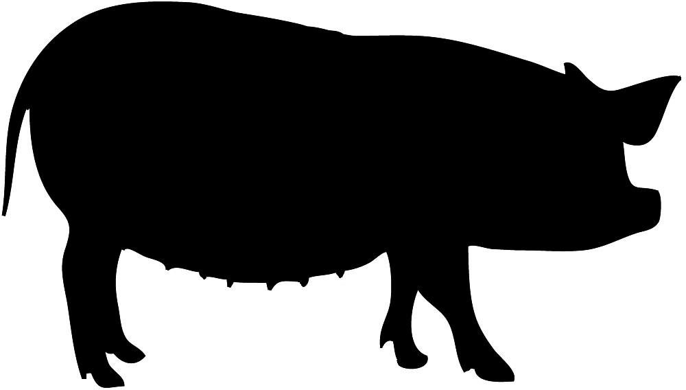 Pig clipart pigclipart pig clip art animal photo and images
