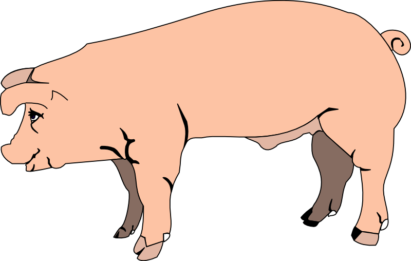 Pig free to use cliparts 2