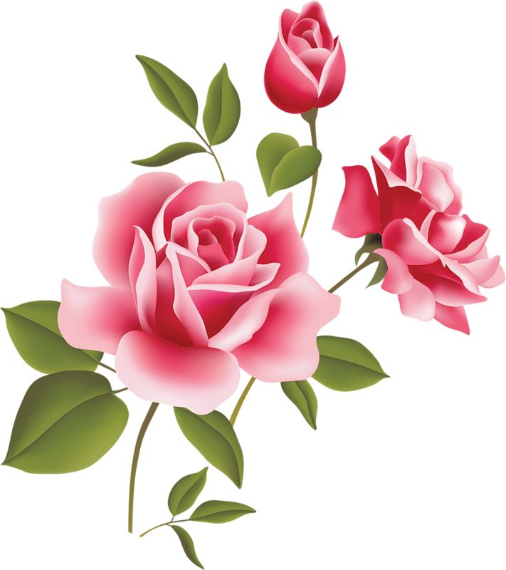 Pink rose art picture clipart laminas decoupage
