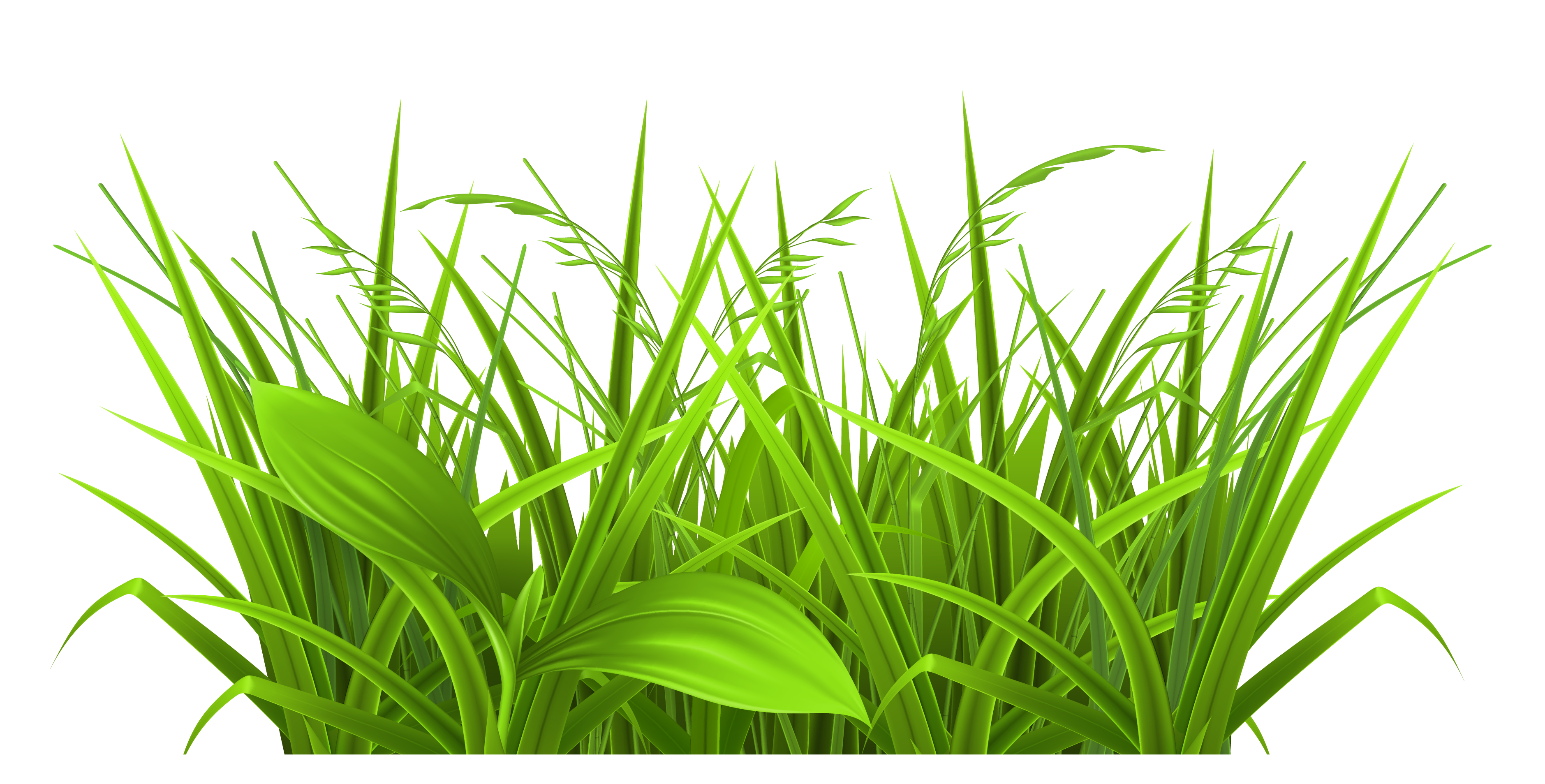 Prairie or field or wheat or grass clipart