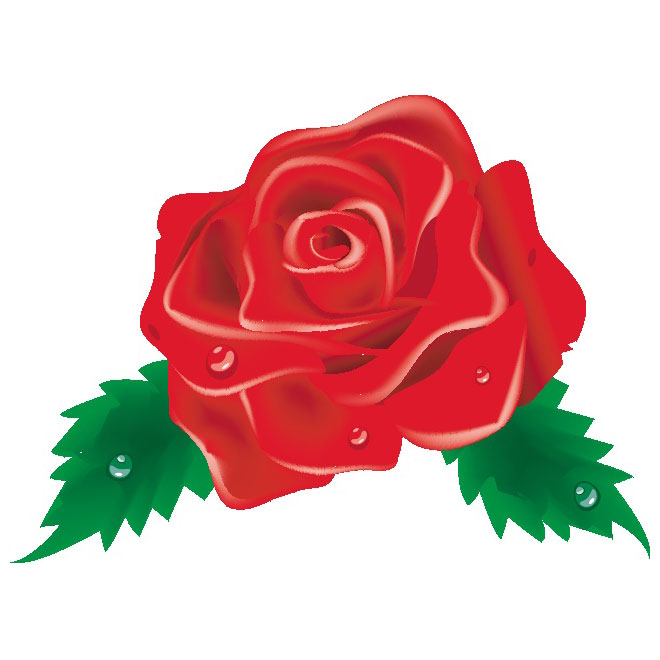 Red rose clip art image free vector freevectors
