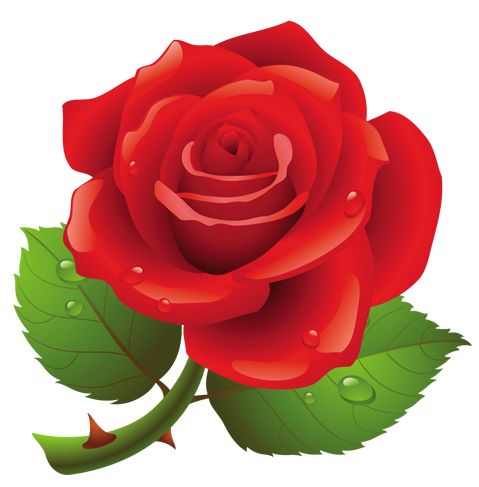 Red rose clipart cute clipart