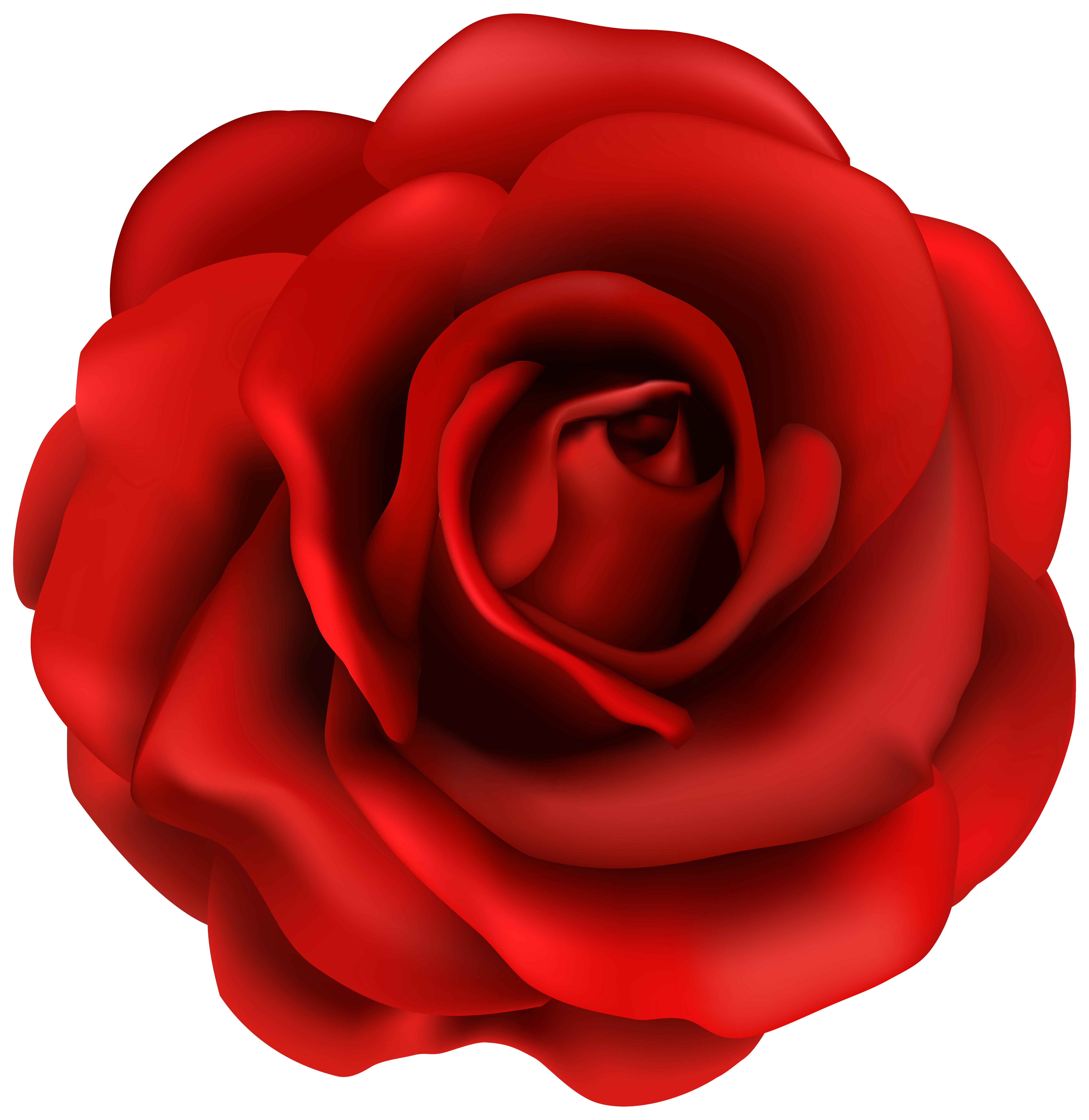 Red rose flower clipart image